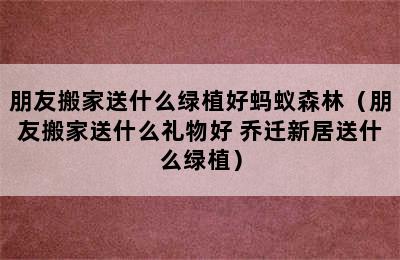 朋友搬家送什么绿植好蚂蚁森林（朋友搬家送什么礼物好 乔迁新居送什么绿植）